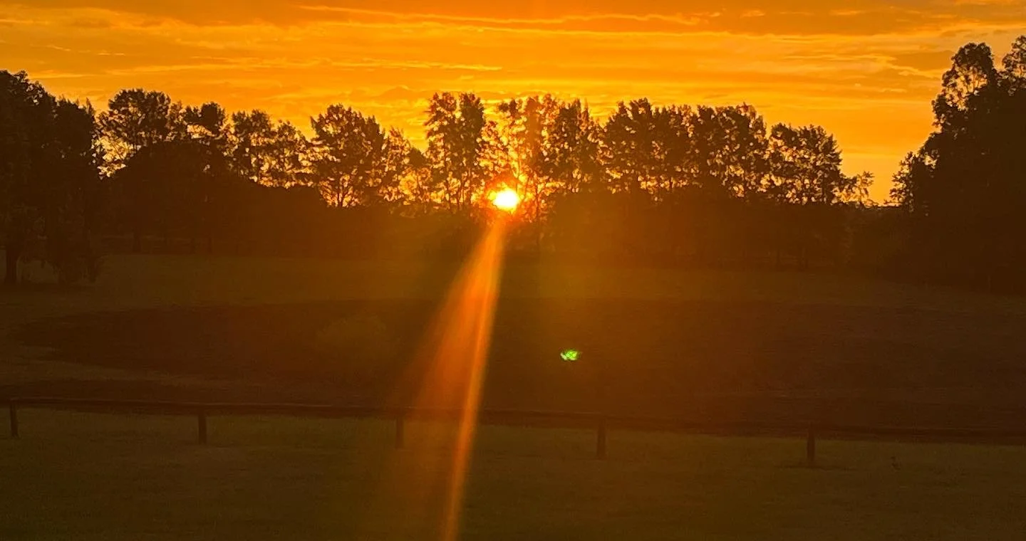 ATARDECER.jpg