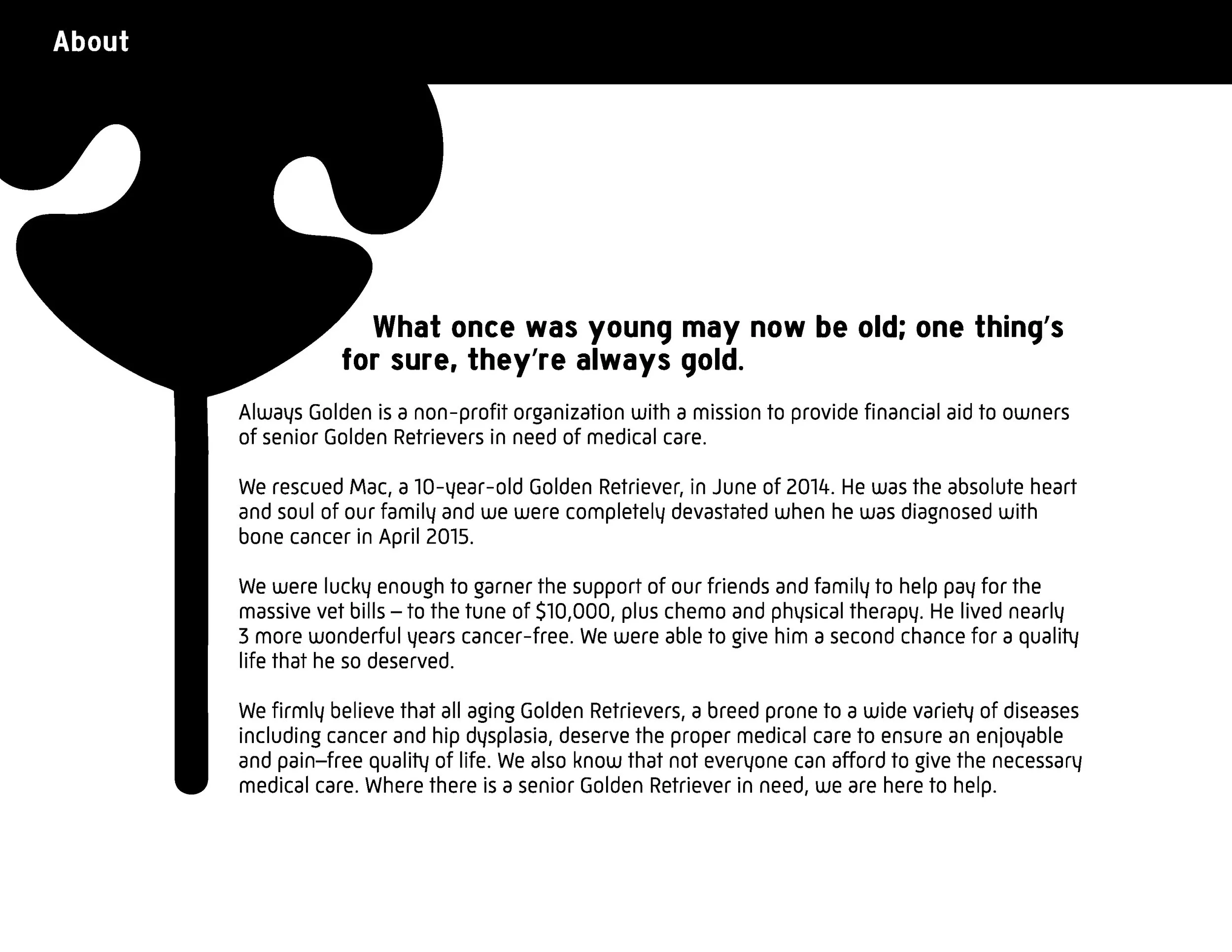 brandingpackage_Artboard 1.jpg