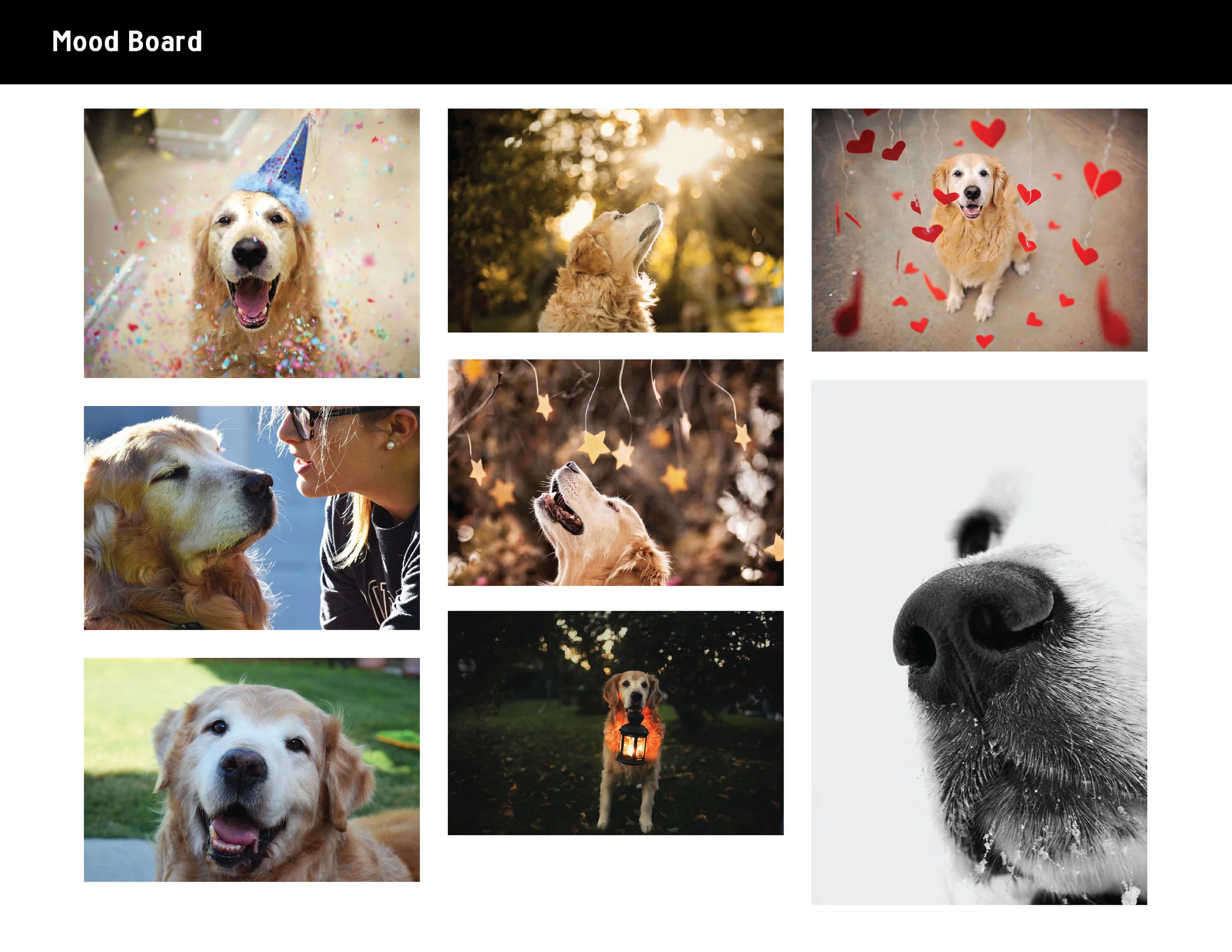 brandingpackage_Artboard 2.jpg