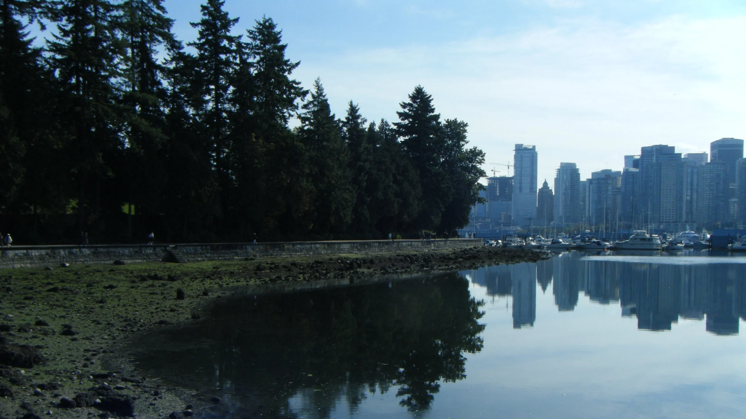 2008_1226debutscaitlyn0051.JPG