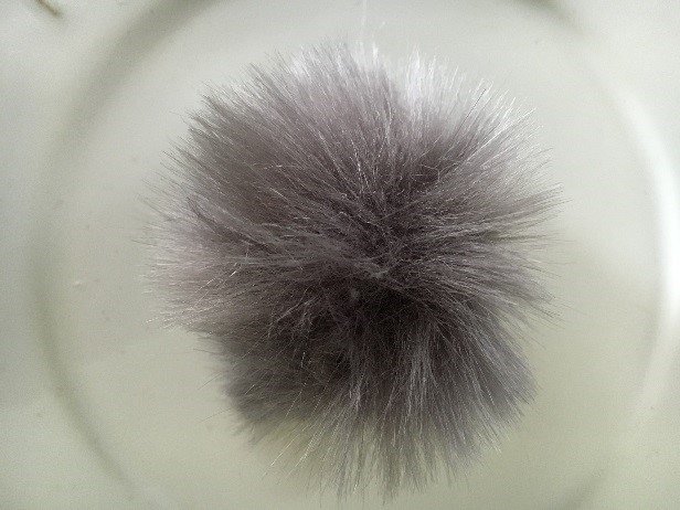 HW Pom 2.jpg