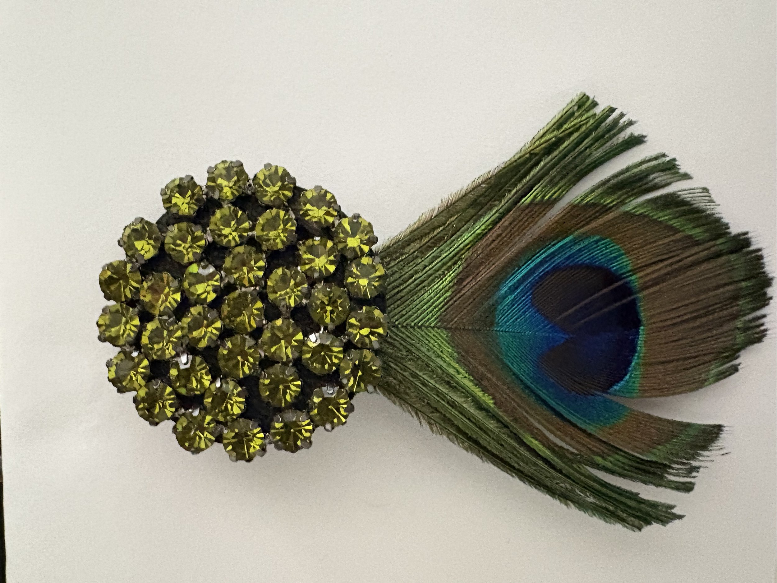 HW-So Shiny Peacock