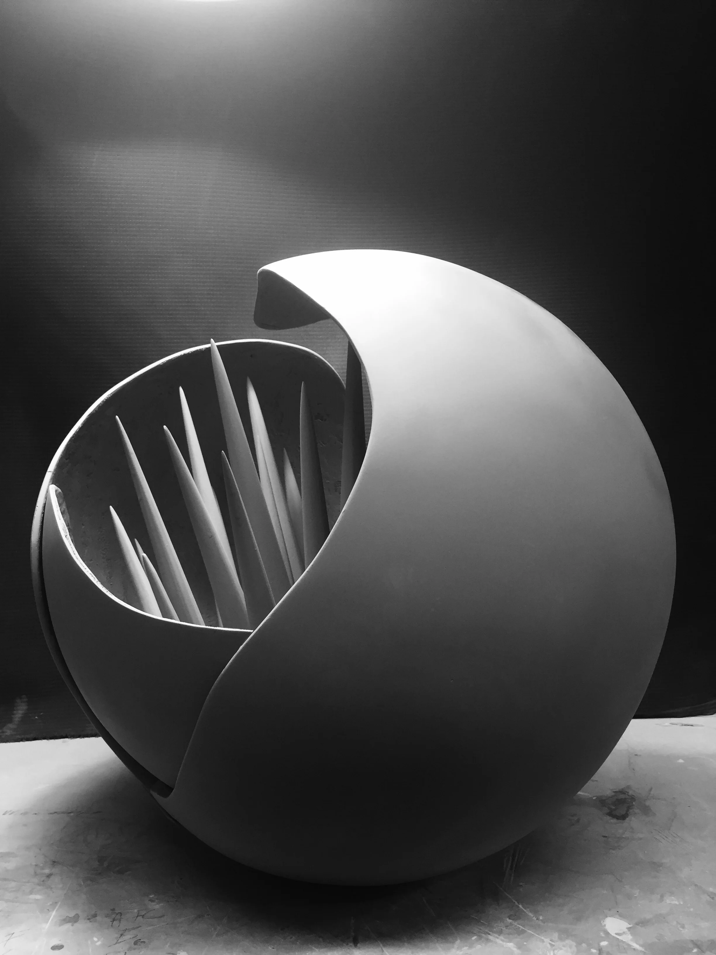 Patientia-2.jpg