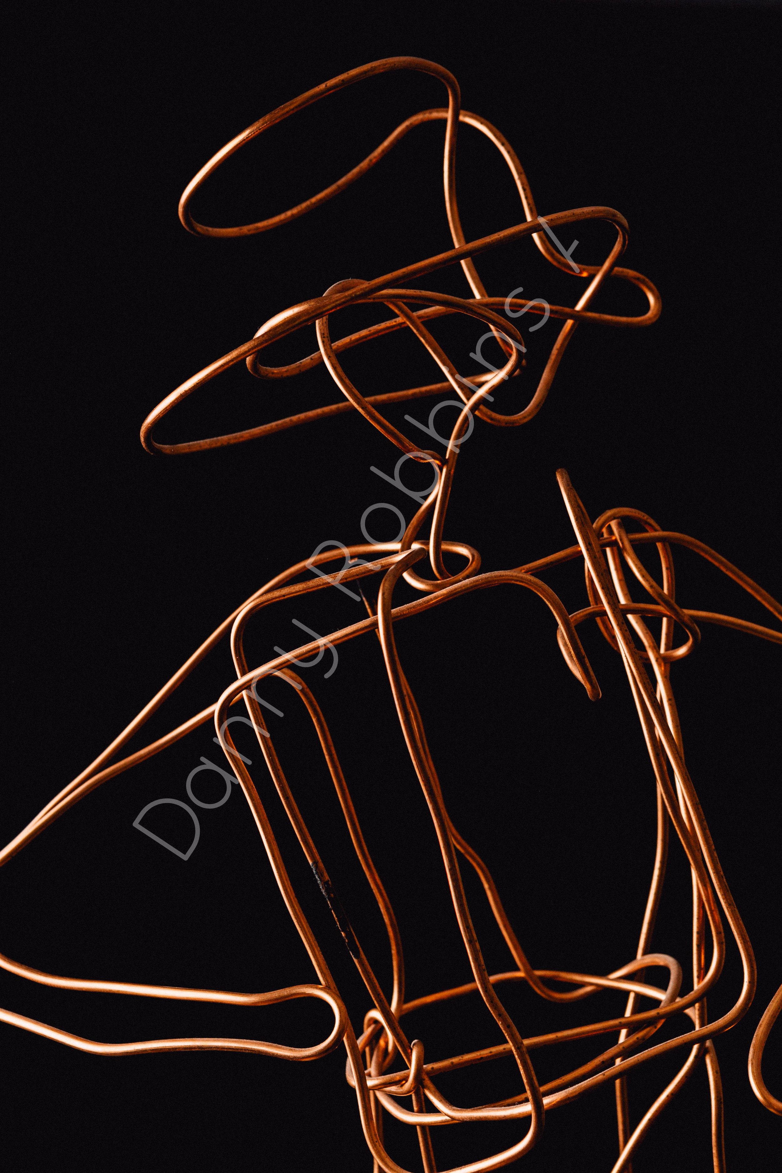 Sculpture-dec1d5f2-27bf-4b5b-a240-390c88ac47c8-watermark.jpg