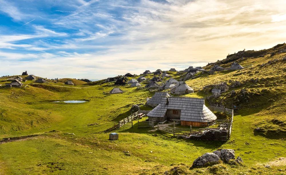 shutterstock_350705513.jpg