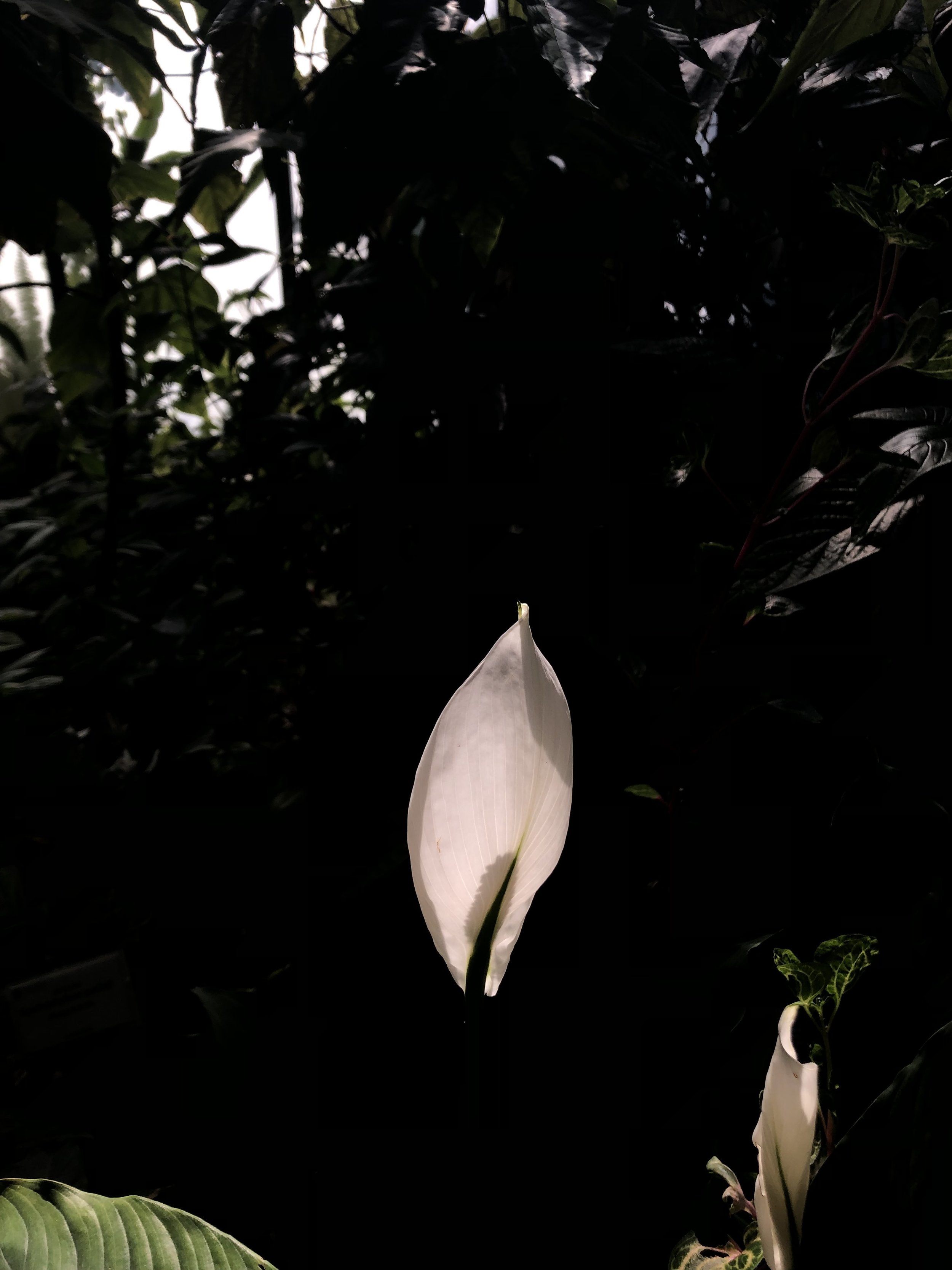 Weather Diary / For Slanted Magazine Europe Issue