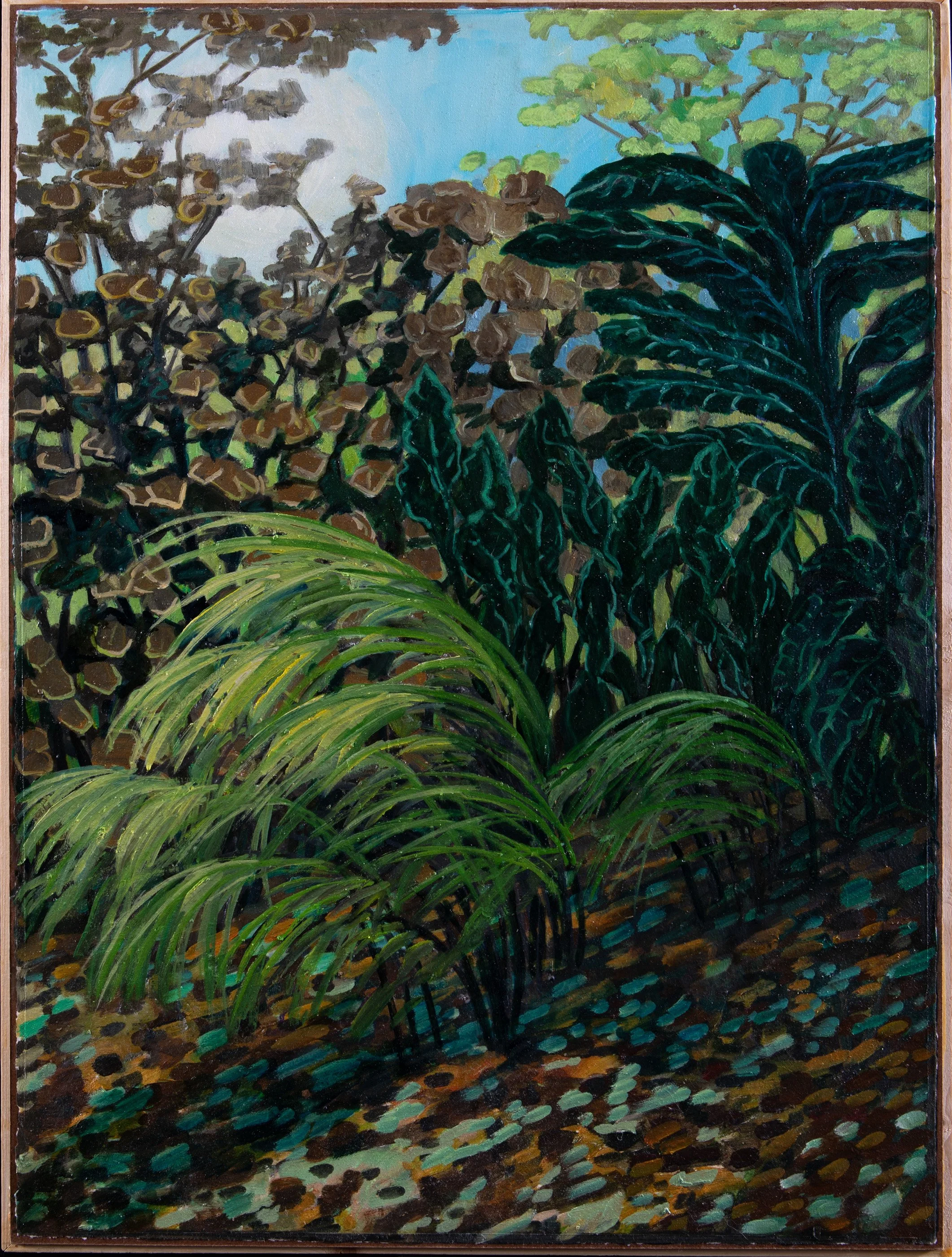 Natives and Invasives.jpeg