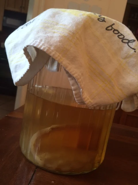 kombucha home
