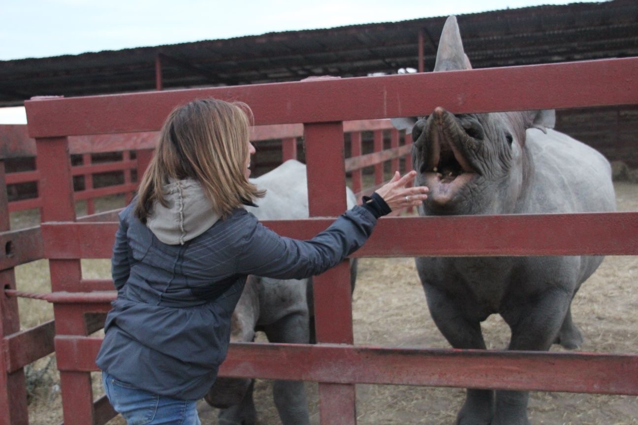 The rhinos were hungry! I was thankful for the fence between us!