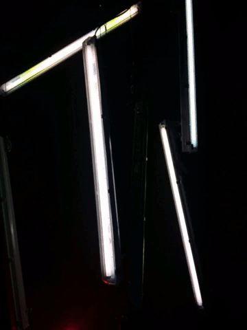 giphy-8.gif