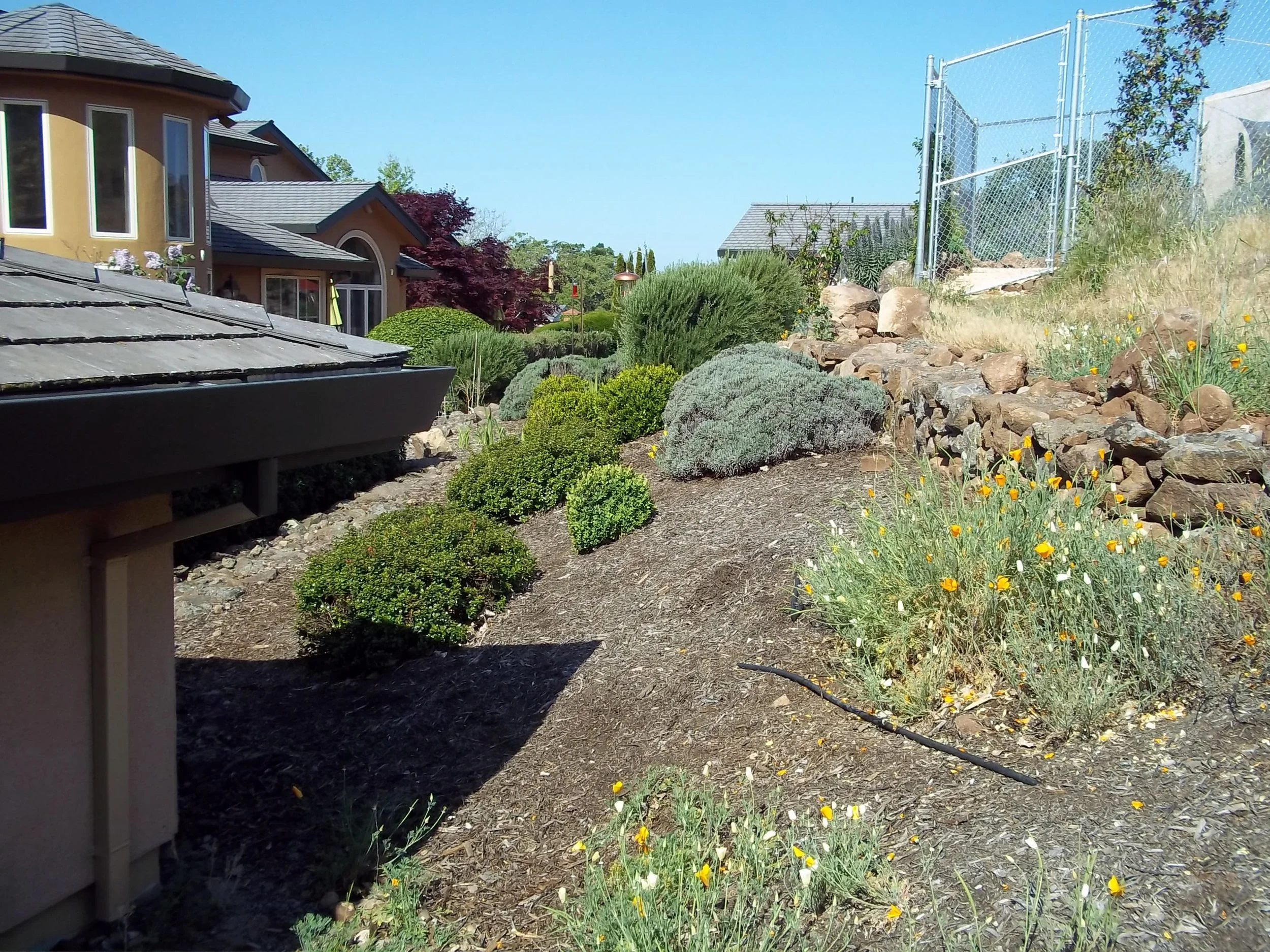 Wallace.PH1.15.B4.Site 046.JPG