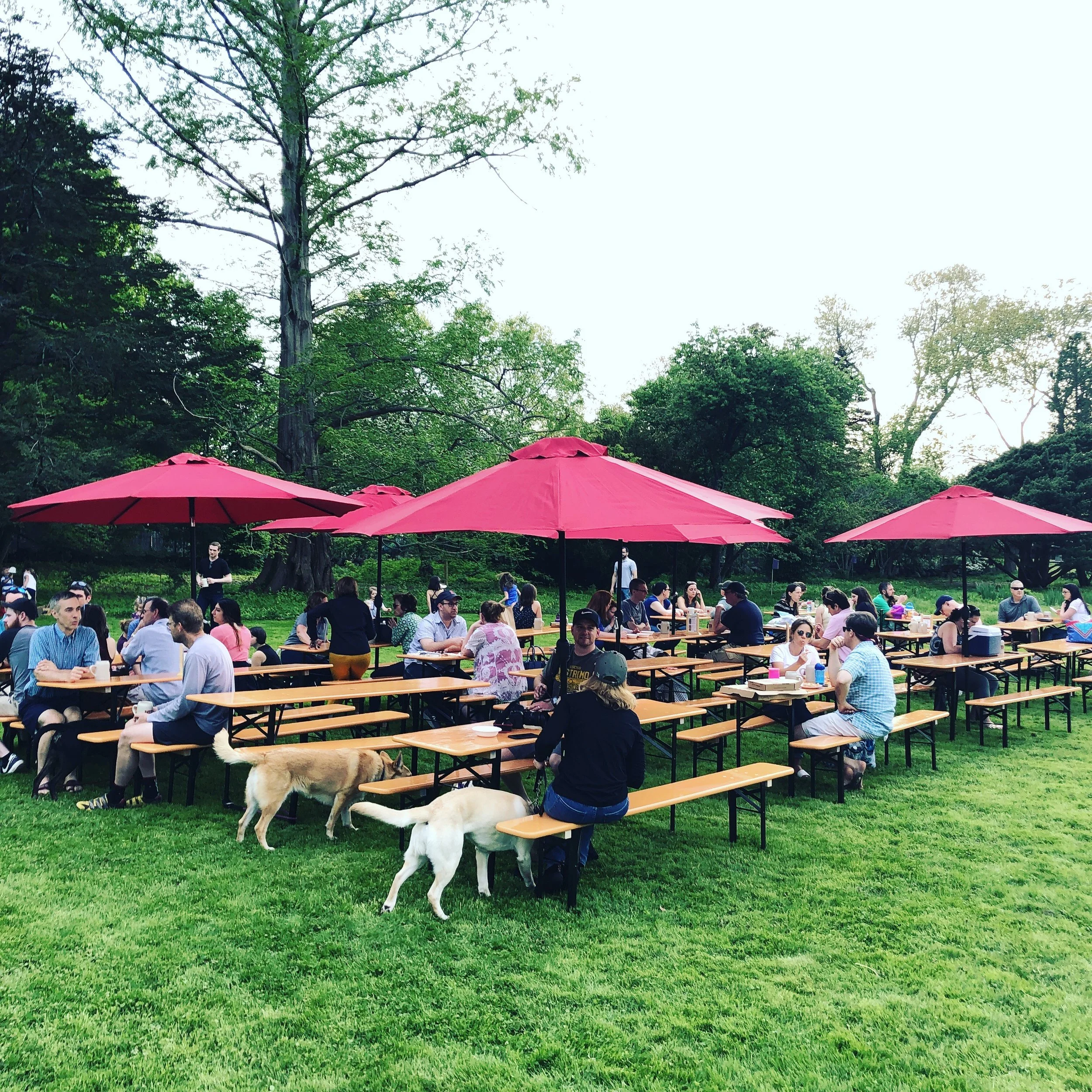 Mobile Biergarten is HERE! 