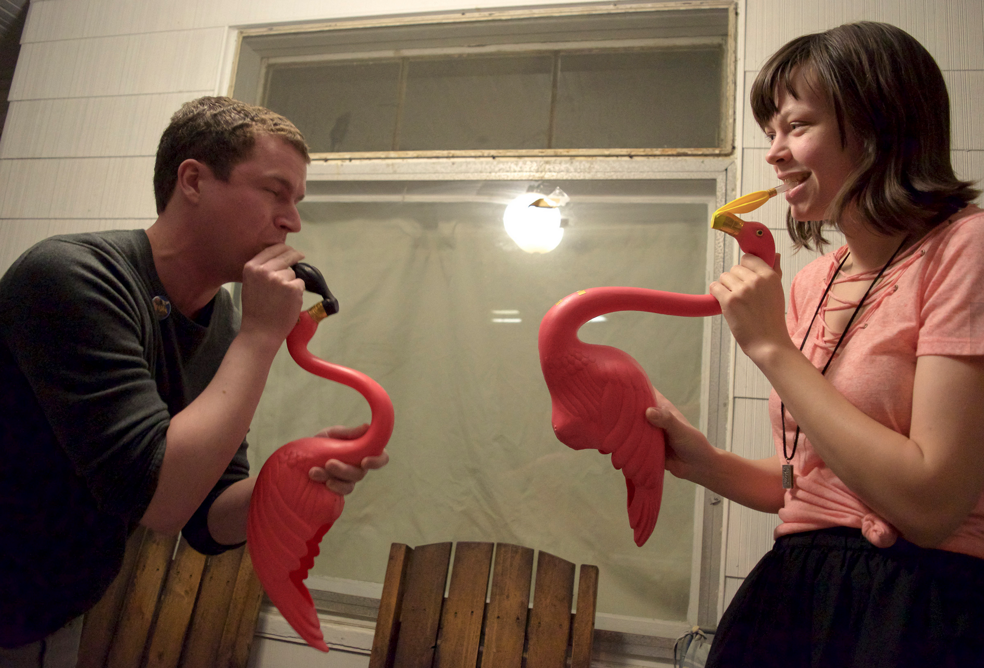 Amelia C. Young, Flamingophones, 2016 (ongoing)