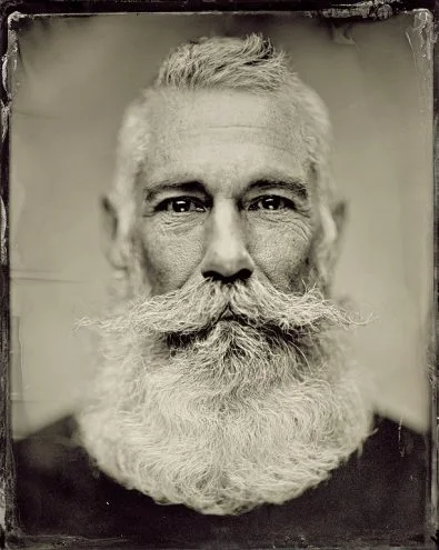 Hilton_S_Portrait2017_1-395x495.jpg