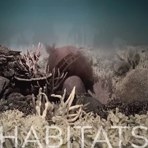 Habitats.jpg