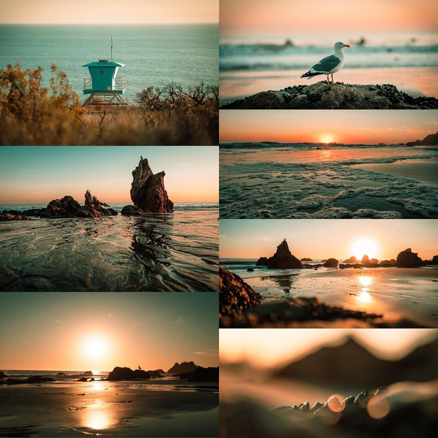 Had a day off on a recent shoot in LA so @realstovelunch took me to the beach for a romantic west coast sunset. Shot on @sonyalpha #A7siii and #24mmgmaster. 
.
.
.
#amplifyfilms #raisethelevel #california #lalaland #travel #dop #sonyalpha #a7siii #so