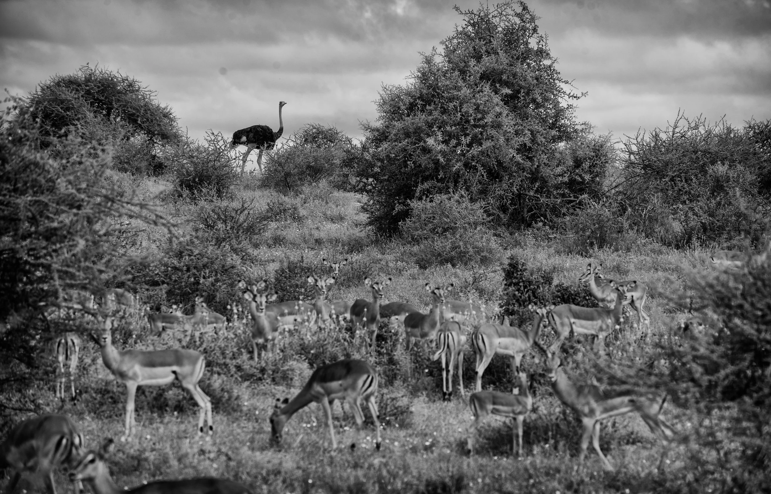 DSC_5650.jpg