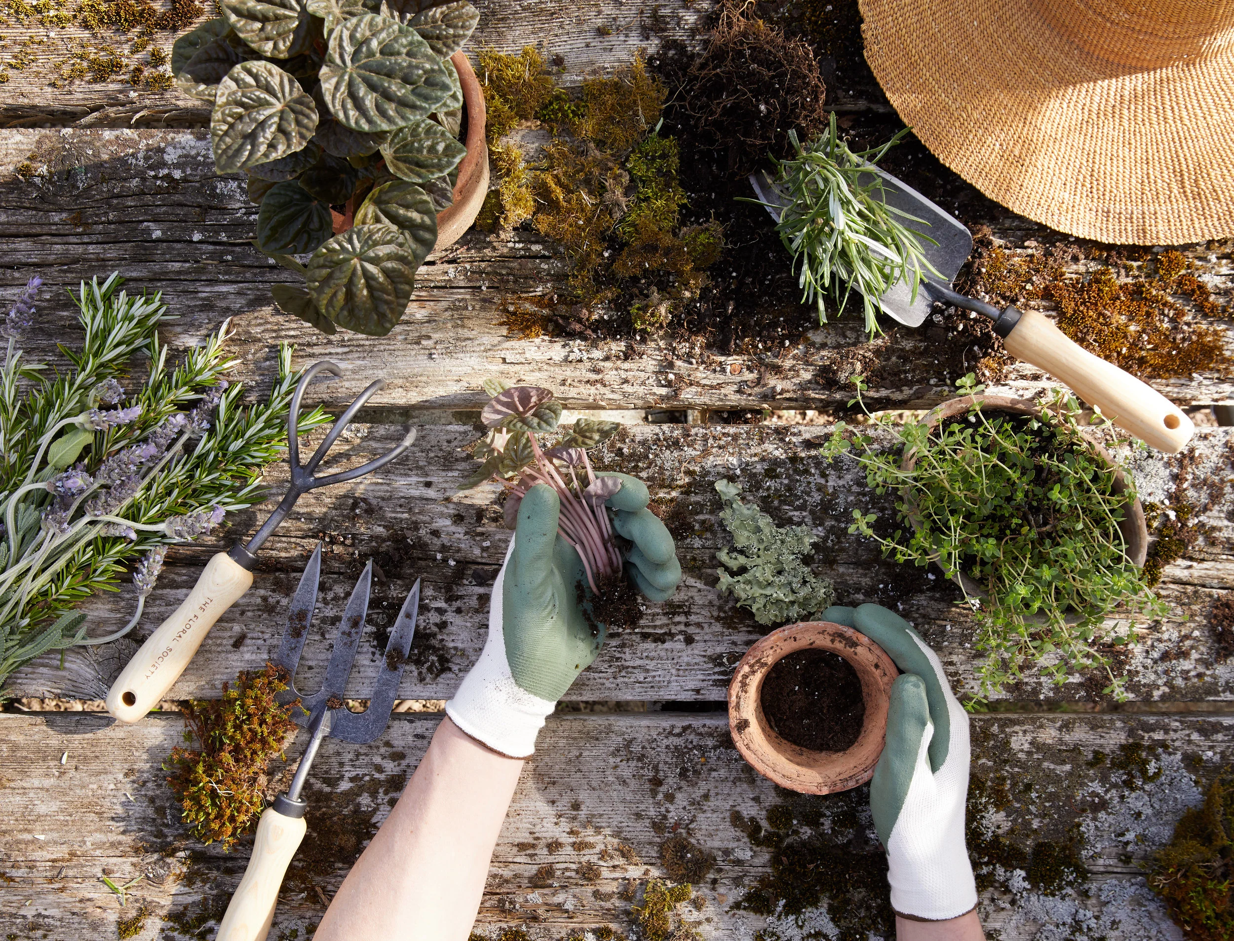 cTFS_Garden_Tools_05_14_2018_0394.jpg