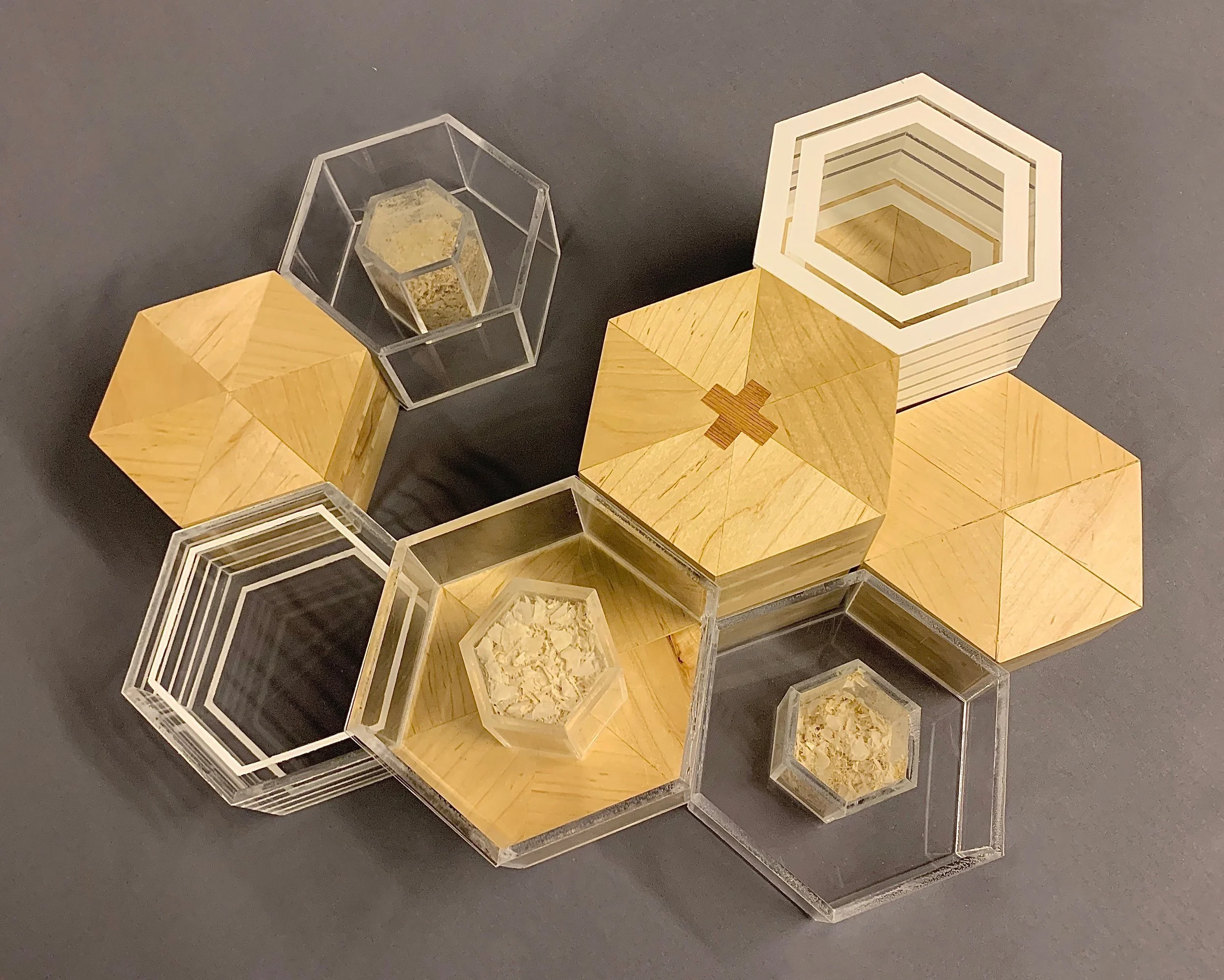 03_Cohen_ModularHexagons_2020.jpg