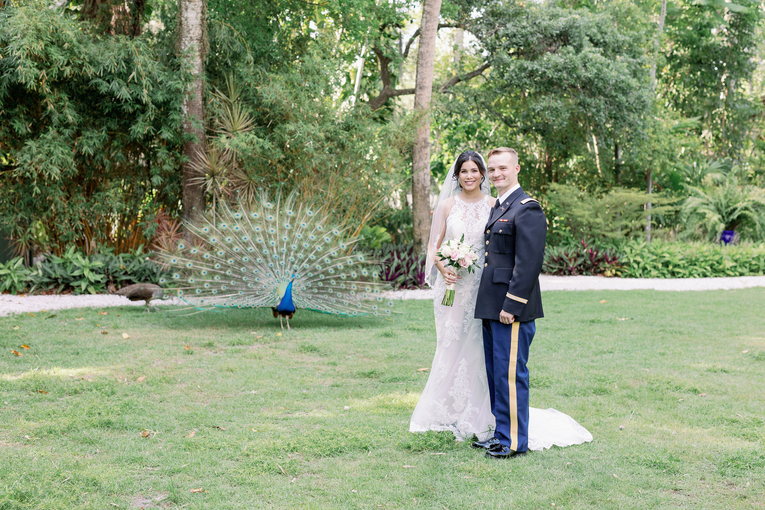 wedding-peacock.jpg