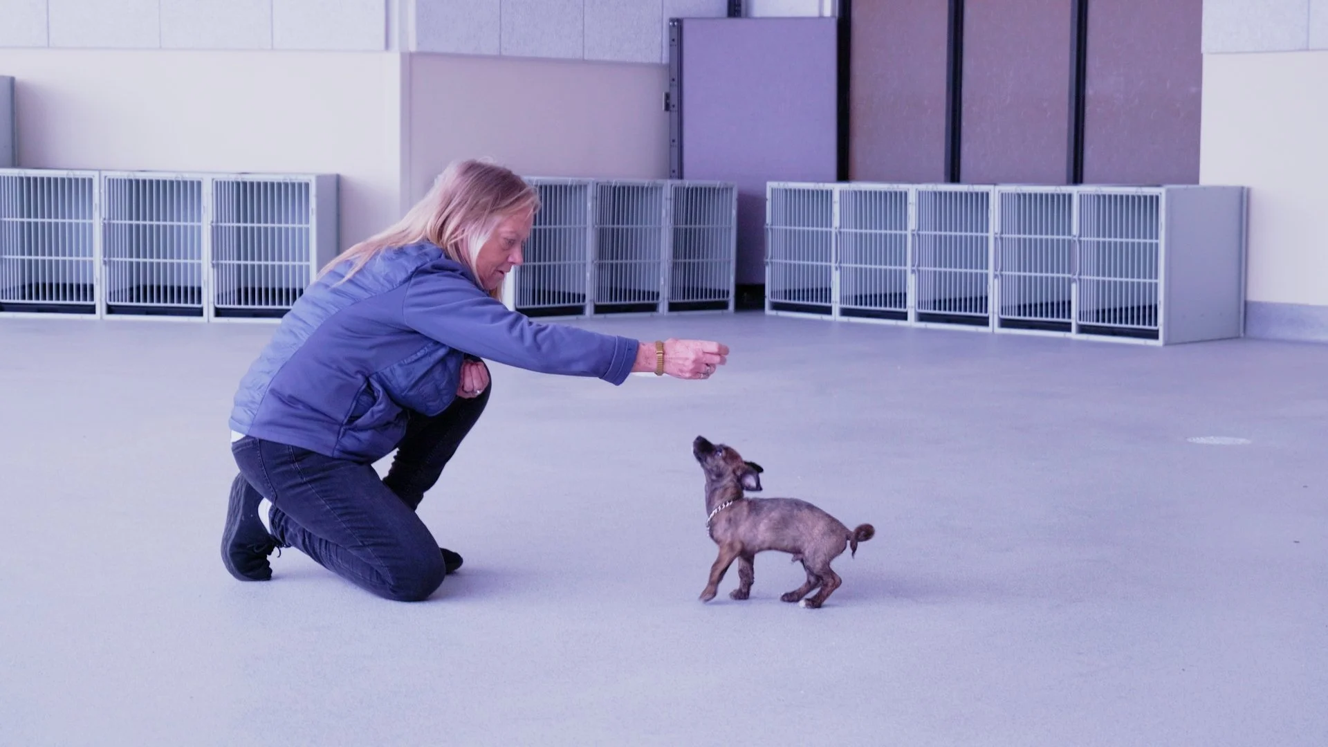 04-2026 Dogs and Guests 12.jpg