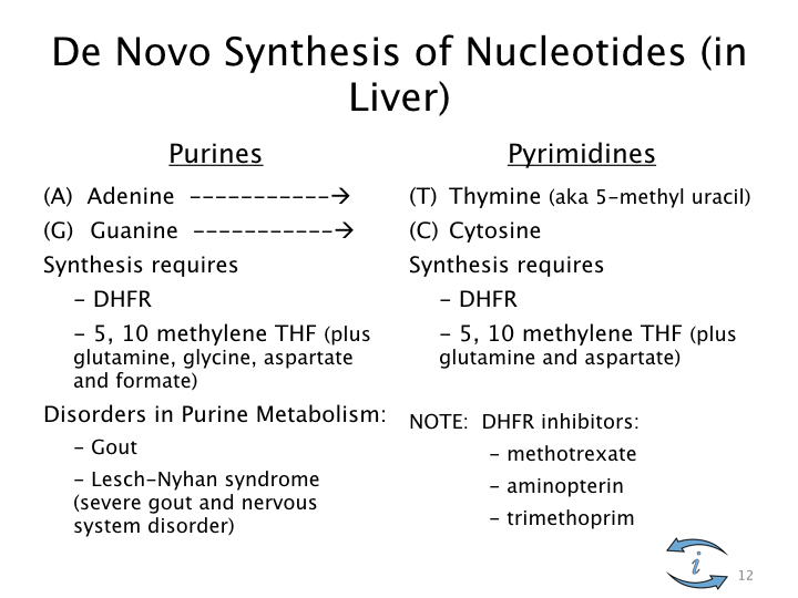 Introduction to Nutrigenomics.012.jpeg