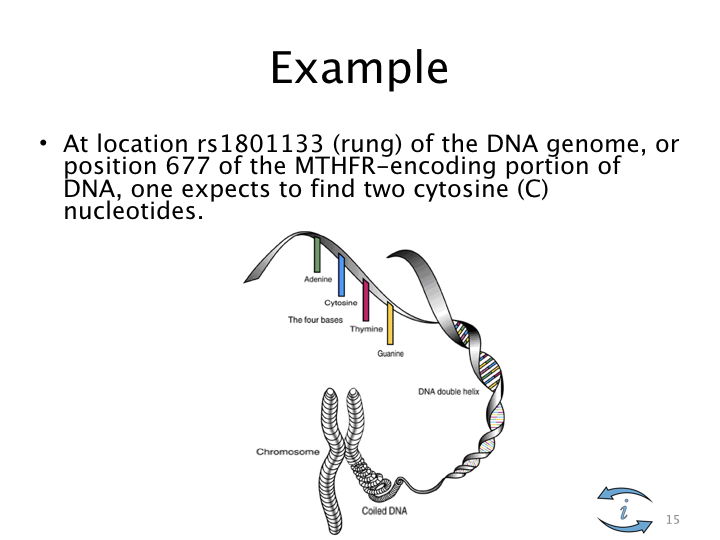 Introduction to Nutrigenomics.015.jpeg