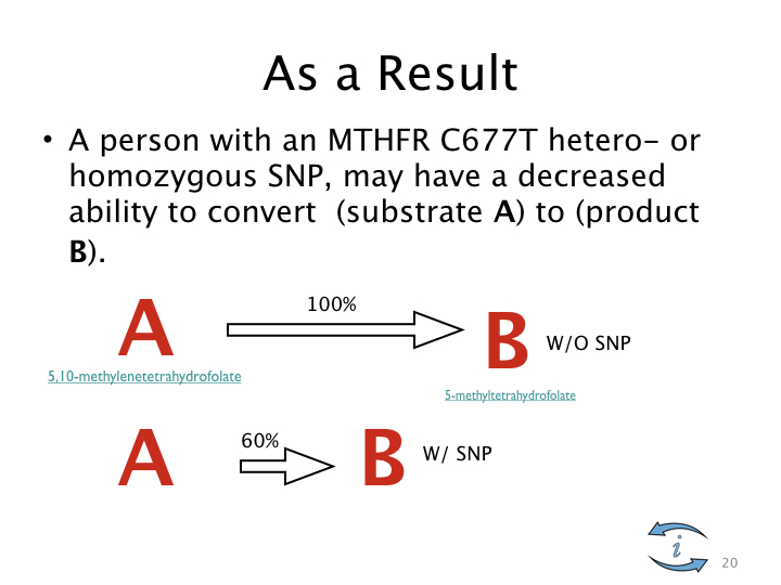 Introduction to Nutrigenomics.020.jpeg