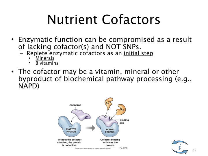 Introduction to Nutrigenomics.022.jpeg