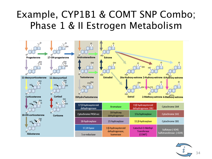 Introduction to Nutrigenomics.034.jpeg