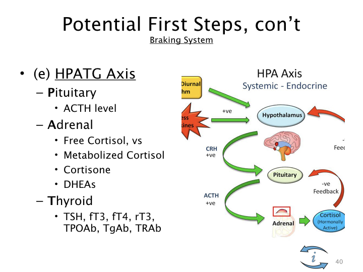 Introduction to Nutrigenomics.040.jpeg