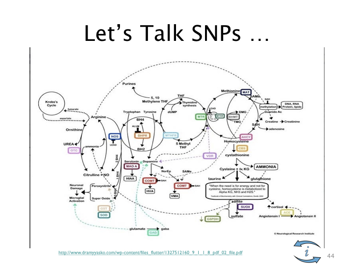 Introduction to Nutrigenomics.044.jpeg