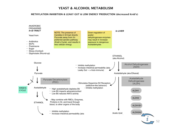 Introduction to Nutrigenomics.052.jpeg