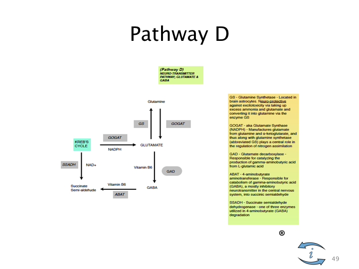 Introduction to Nutrigenomics.049.jpeg