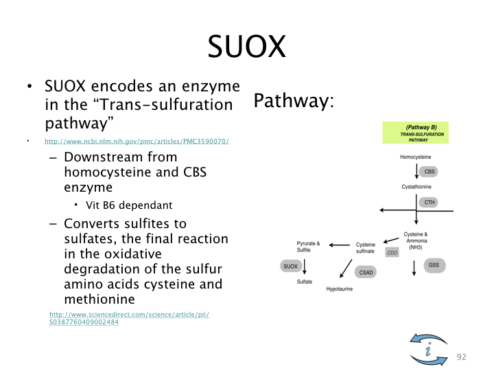 Introduction to Nutrigenomics.092.jpeg