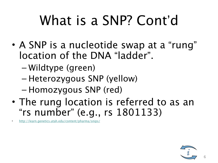 SNP Intro.006.jpeg