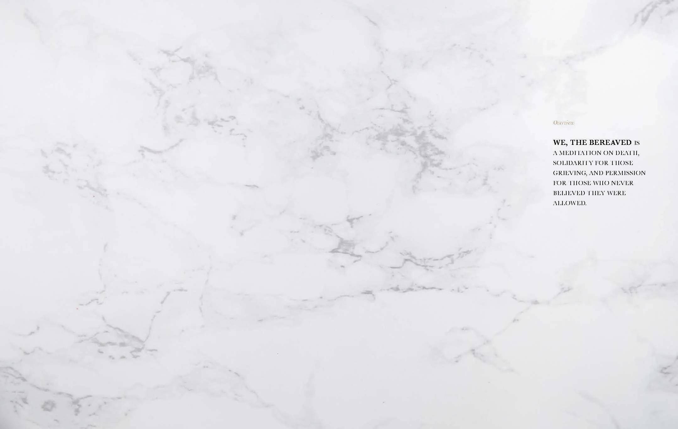 WE THE BEREAVED | PRESS KIT - PHOTOGRAPHER_Page_02.jpg