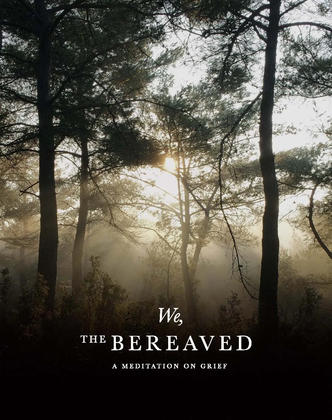 WE THE BEREAVED | PRESS KIT - PHOTOGRAPHER_Page_01.jpg