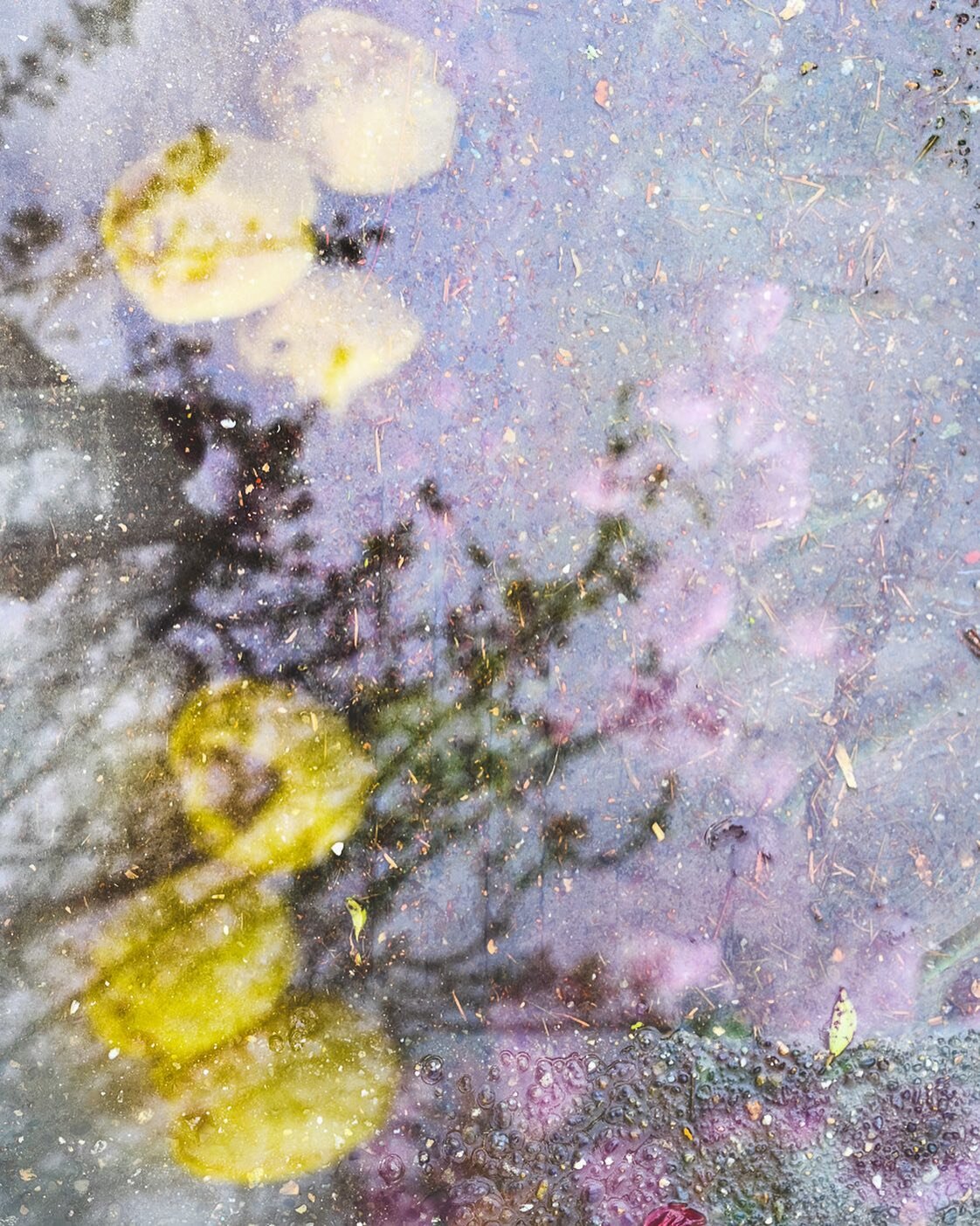 It might be spring, but it&rsquo;s still rainy around these parts. Couldn&rsquo;t resist these cheerful yellow tulips though. 💛

We are a group of artists who are experimenting with creating double exposures, fusing, blending and bringing a little m
