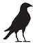 karga-bird-60x63a.gif