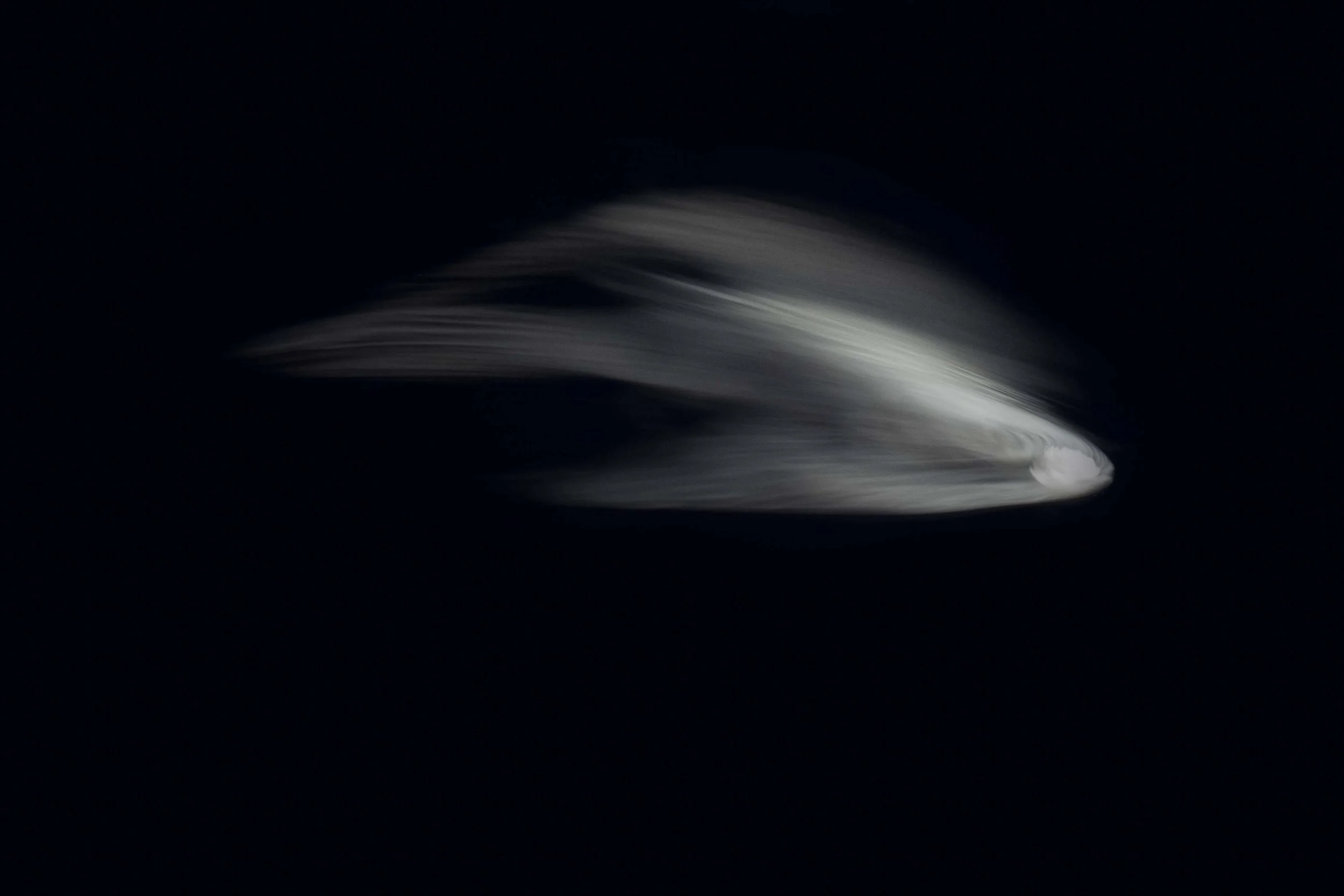 _DSC9800.jpg