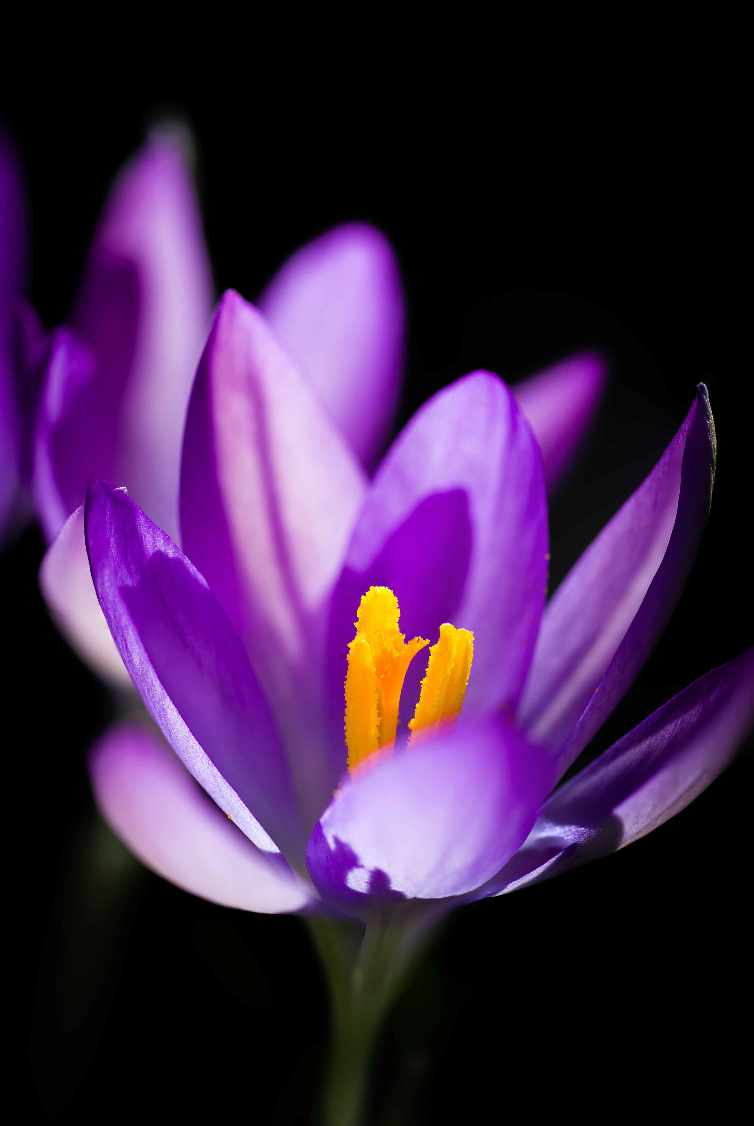 _DSC8137.jpg