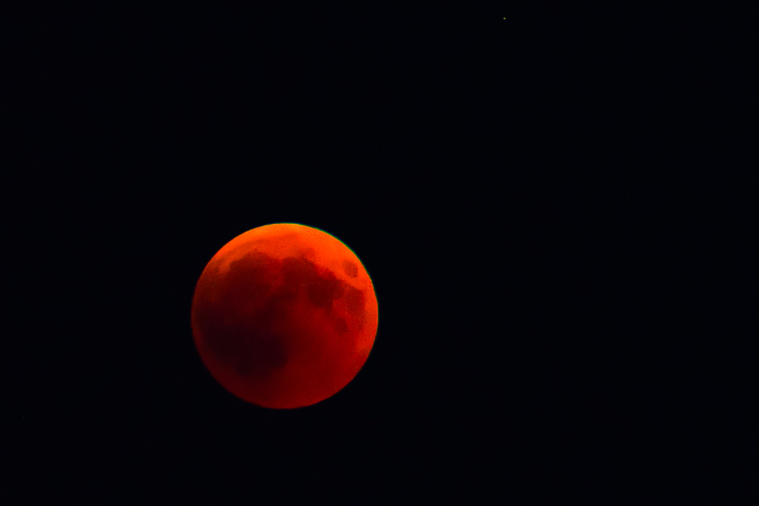 _DSC7274.jpg