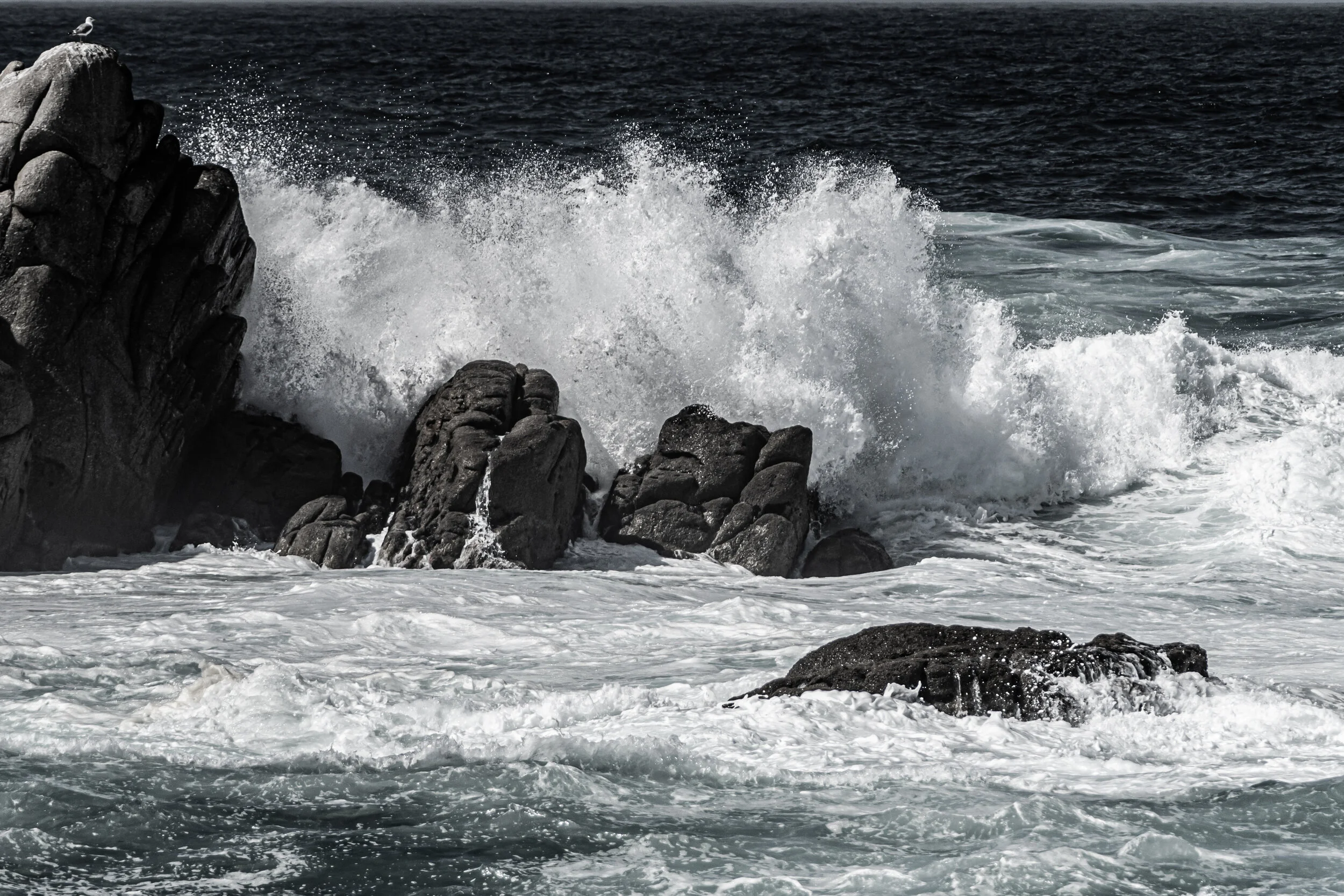 DSC00387-2.jpg