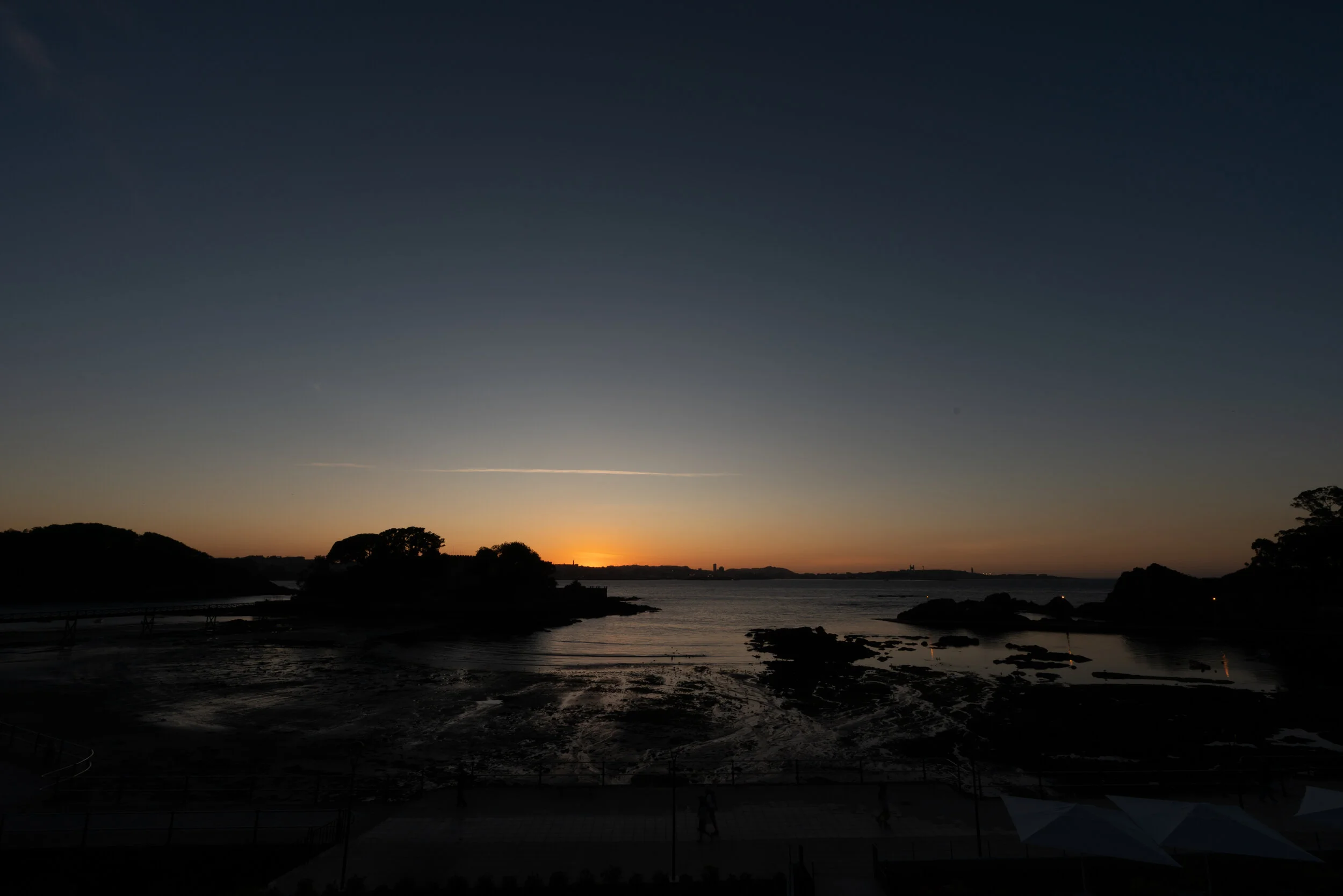 DSC00555.jpg