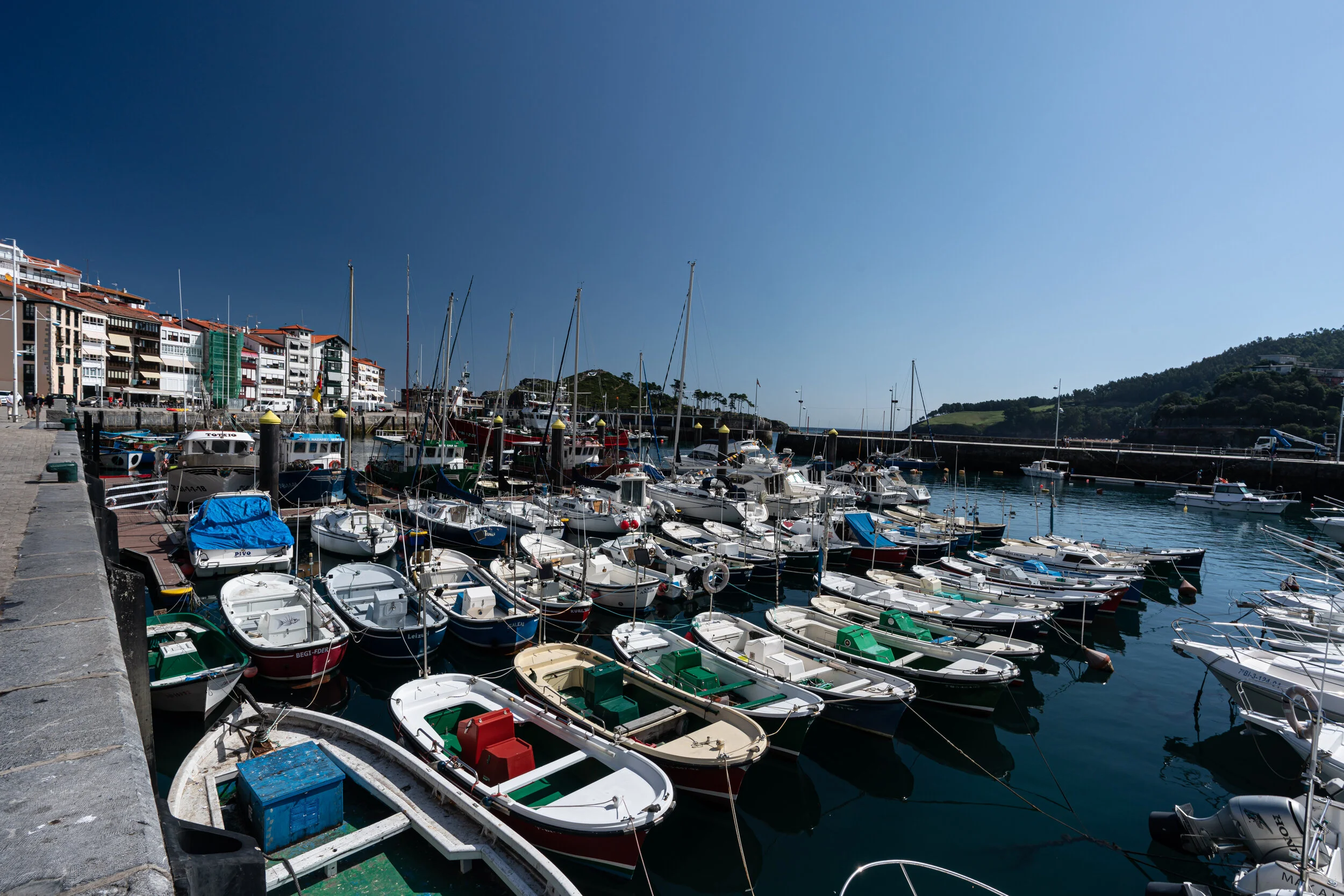 DSC08873.jpg