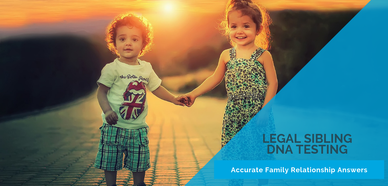 validity genetics dna and paternity testing services