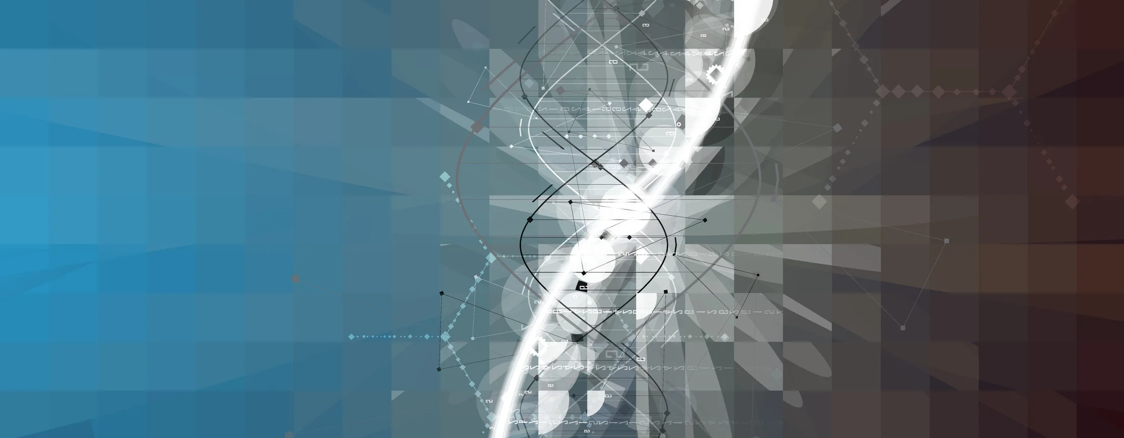The science behind paternity and relationship DNA testing.