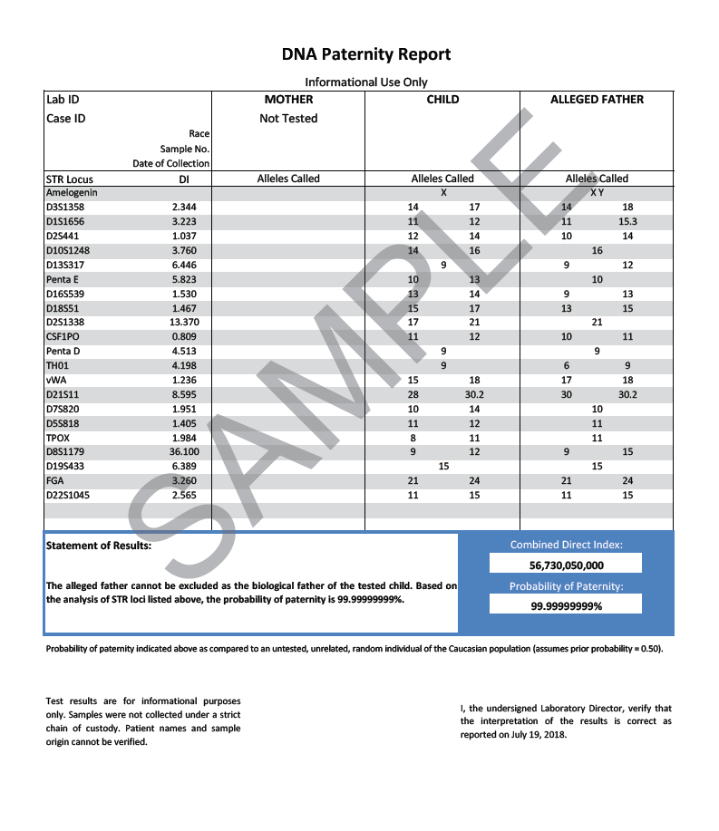 Paternity Test Results Template