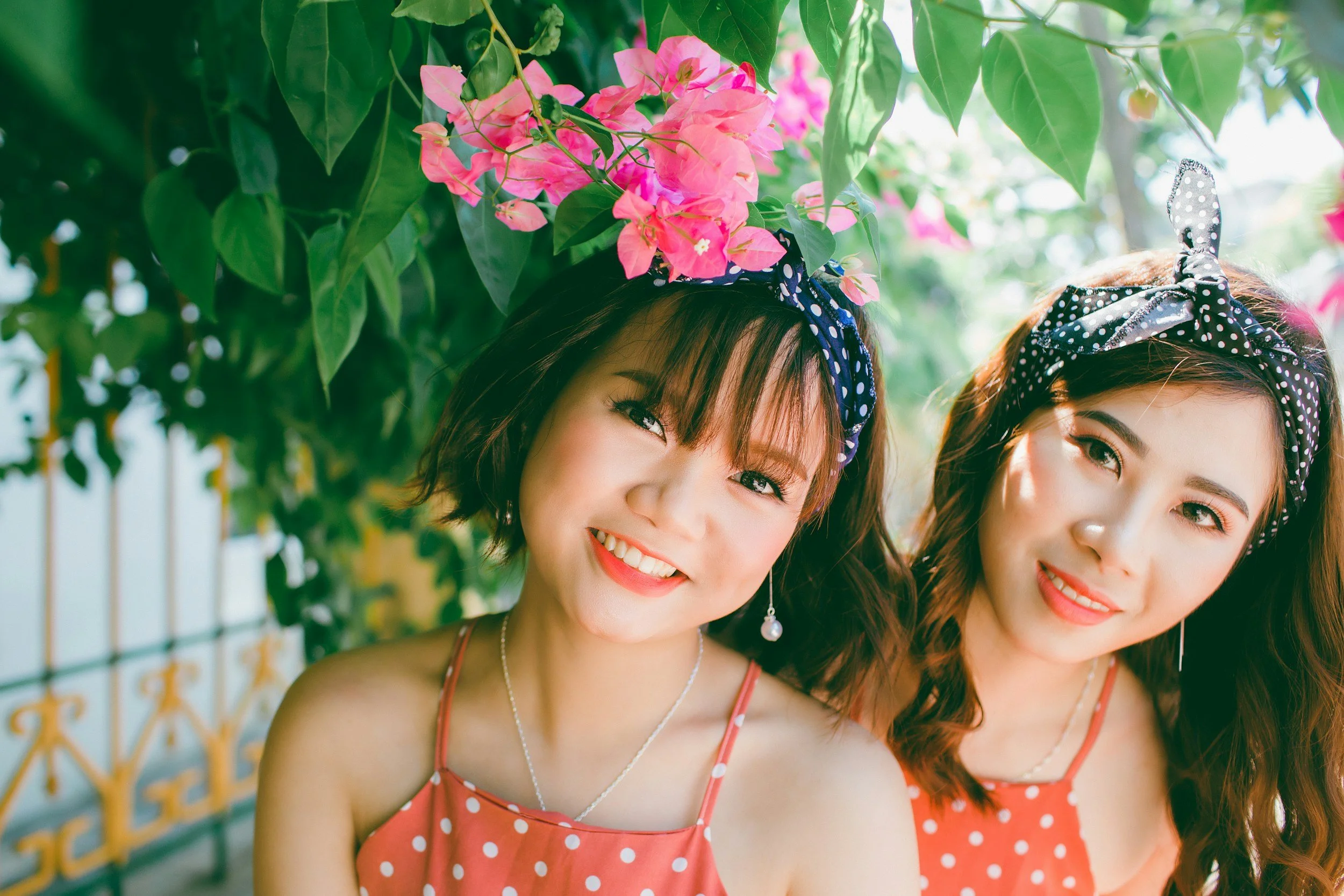 Twin DNA Testing - Identical vs. Fraternal | Validity Genetics - DNA ...